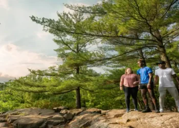 How Much Does a Loan Officer Make Per Loan