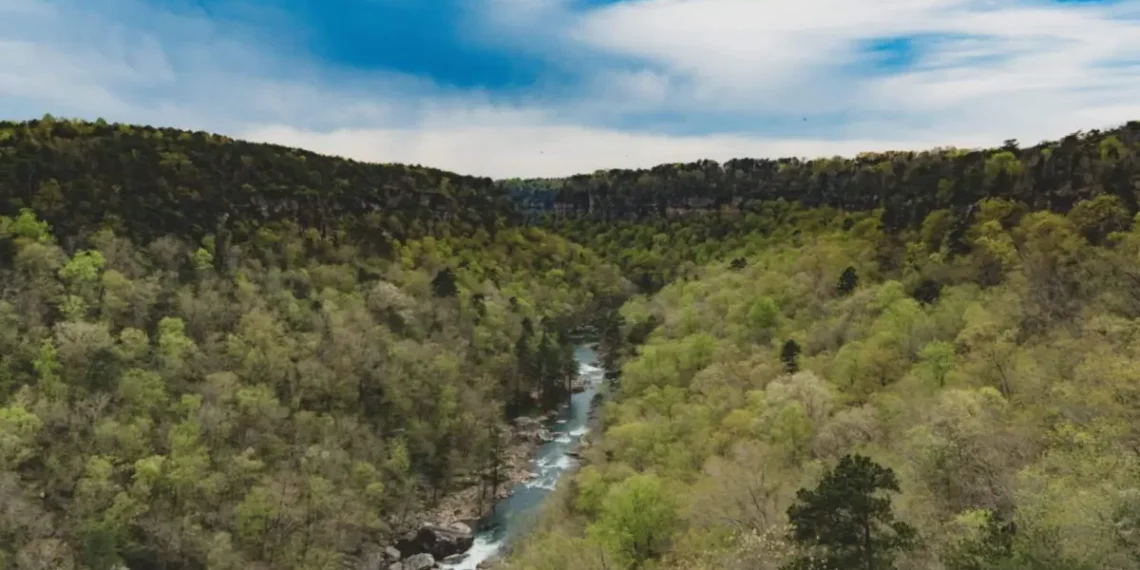 Payday Loans in Dothan AL